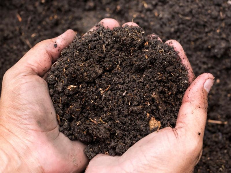 Soil Selection