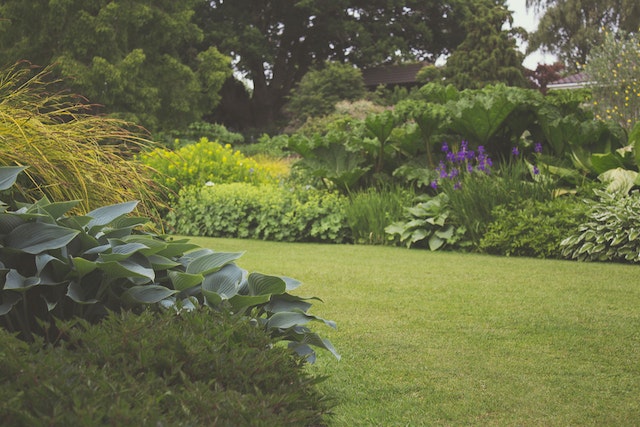 Green Space Changes